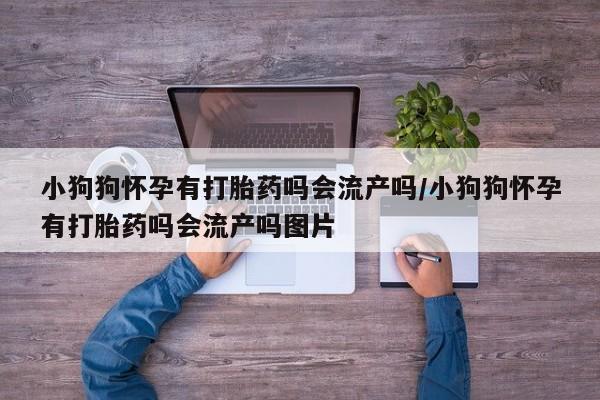 流产药购买微信小狗狗怀孕有打胎药吗会流产吗/小狗狗怀孕有打胎药吗会流产吗图片