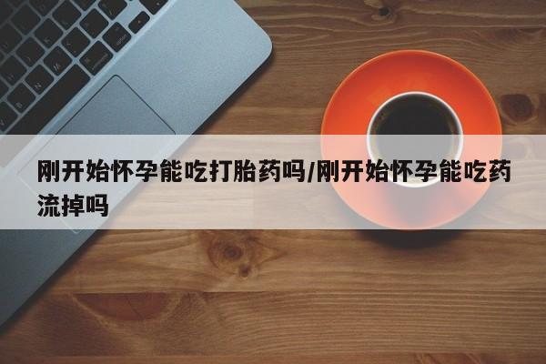 流产药购买微信刚开始怀孕能吃打胎药吗/刚开始怀孕能吃药流掉吗
